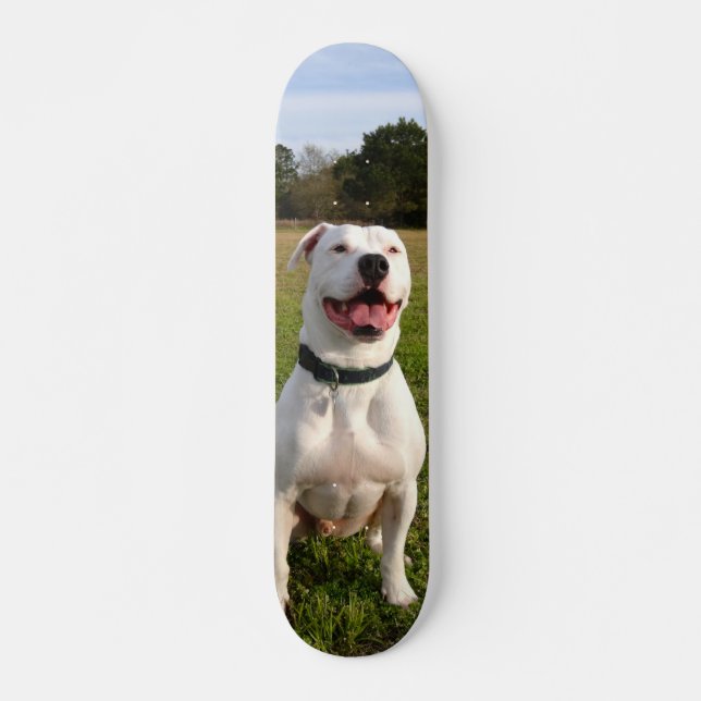 Patineta Pitbull Blanco Sentado En El Campo Skateboard (Vorne)