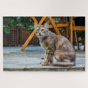 Patio-Katzenpuzzle Puzzle