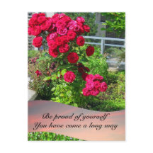 Patio-Rose mit Anführungskarte