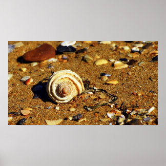 Patonga-Sand Poster