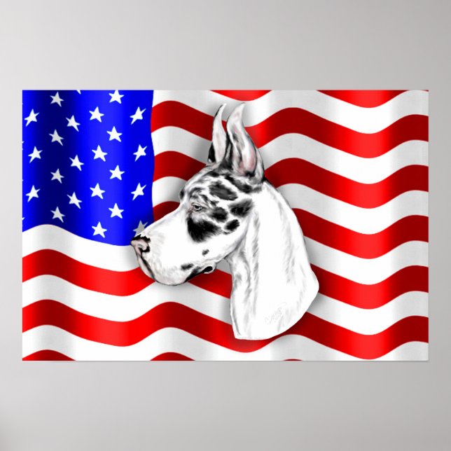 Patriot Dane Harle Poster (Vorne)