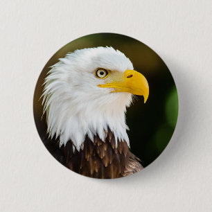 Patriotic Adult American Bald Eagle Button