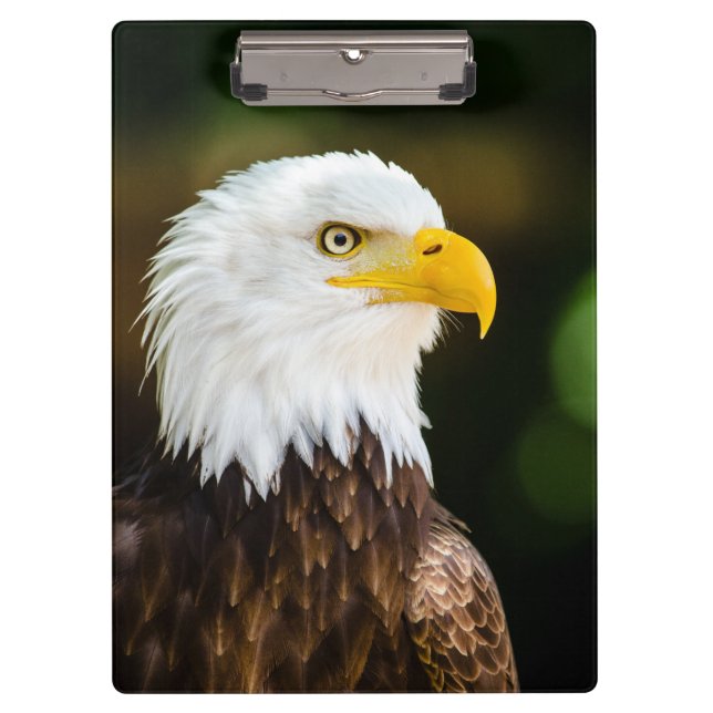 Patriotic Adult American Bald Eagle Klemmbrett (Vorderseite)