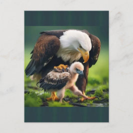 Patriotic Bald Eagle Father's Day Wildlife Gift Feiertagspostkarte