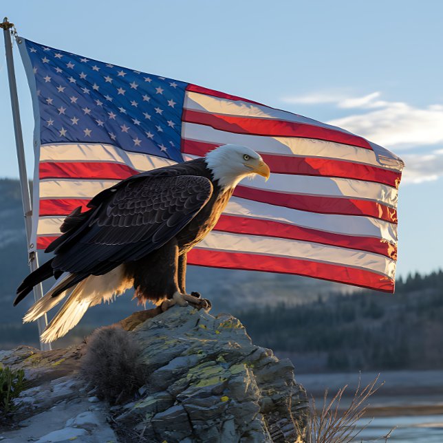 Patriotic Bald Eagle vor der amerikanischen Flagge Puzzle (Von Creator hochgeladen)