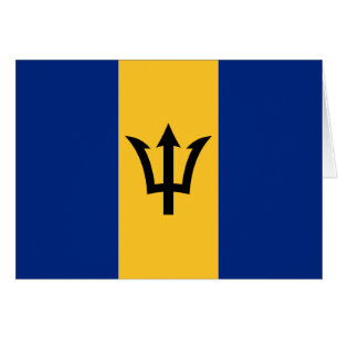 Patriotic Barbados Flag