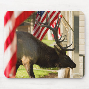 Patriotic Bull Elk Mouse pad Mousepad