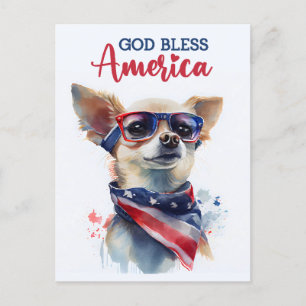 Patriotic Chihuahua, Gott segne Amerika Postkarte