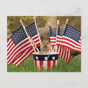 Patriotic Chipmunk Postkarte