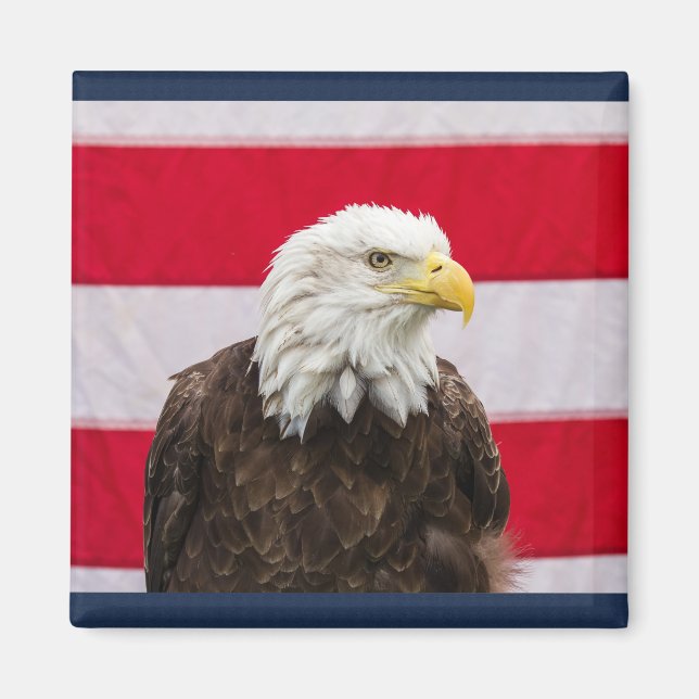 Patriotic Eagle Magnet (Vorne)