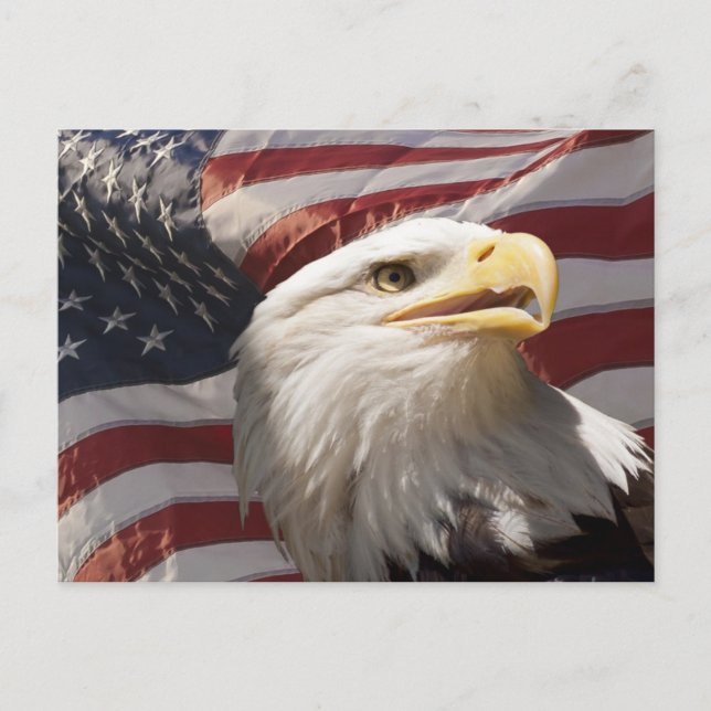 Patriotic Eagle Postcard Postkarte (Vorderseite)