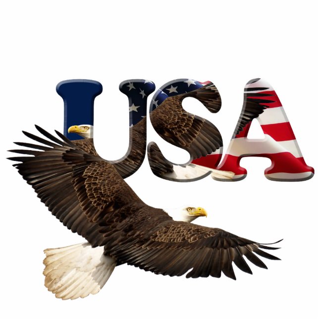 Patriotic Flying Bald Eagle & Flag Sculpted Gesche Fotoskulptur Magnet (Vorne)