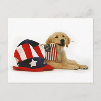 Patriotic Golden Puppy Postkarte
