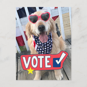 Patriotic Golden Retriever Dog Vote Postkarte