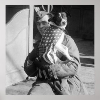 Patriotic Pooch, Anfang der 1900er Poster