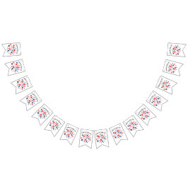 Patriotic Summer July 4th bunting Wimpelkette