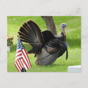 Patriotic Turkey Strut Postkarte