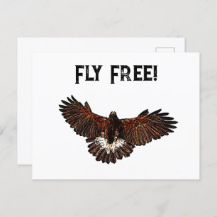Patriotic USA Eagle Hawk Fly Free Nature Art Postkarte