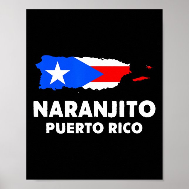 Patriotic Usa Flag Naranjito Poster (Vorne)
