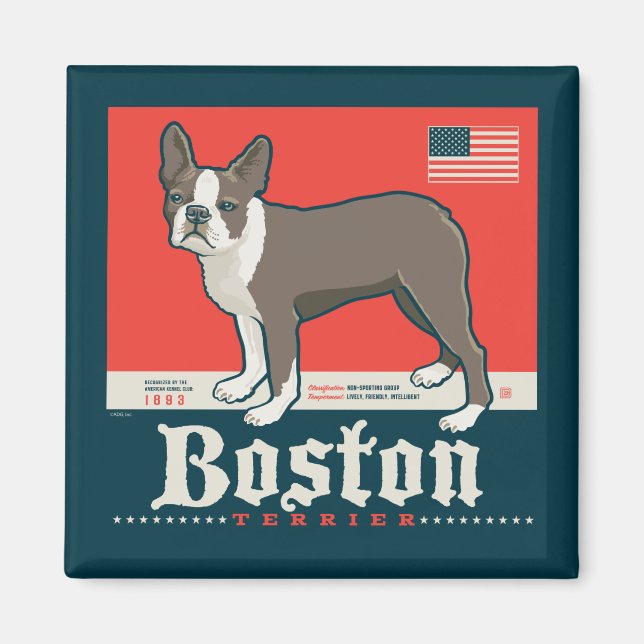 Patriotisch | Boston Terrier Magnet (Vorne)