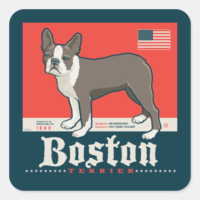 Patriotisch | Boston Terrier Quadratischer Aufkleber (Vorderseite)