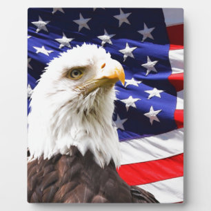 Patriotisch Fotoplatte