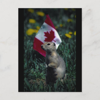 Patriotisch Postkarte