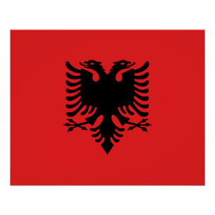 Patriotische albanische Flagge Poster