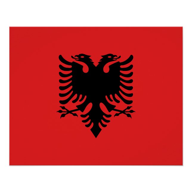Patriotische albanische Flagge Poster (Vorderseite)