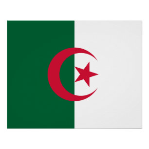 Patriotische algerische Flagge Poster
