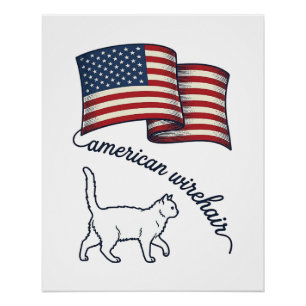 Patriotische Amerikanische Wirehair-Katze Vintage- Poster