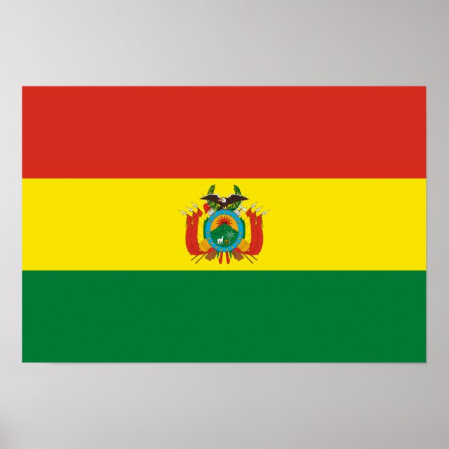Patriotische Bolivienflagge Poster (Vorne)