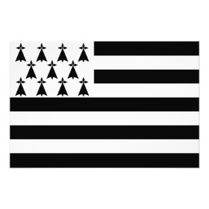 Patriotische bretonische Flagge Fotodruck
