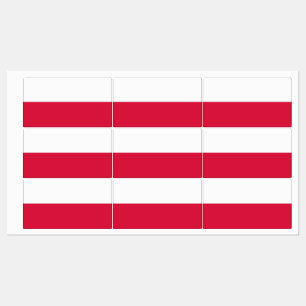 Patriotische Etiketten mit polnischer Flagge