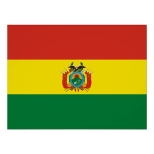 Patriotische Flagge Boliviens Poster