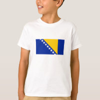 Patriotische Flagge Bosnien-Herzegowina