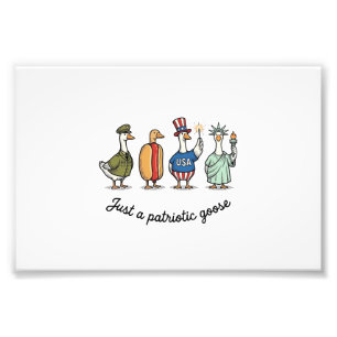 Patriotische Gans Vintage Gravur Lustiges USA-Shir Fotodruck