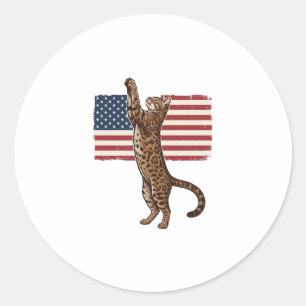 Patriotische Katze Amerikanische Flagge Vintage-Ve Runder Aufkleber