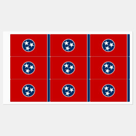 Patriotische Labels mit der Flagge des Tennessee-S Etiketten
