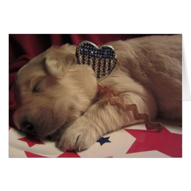 Patriotische Lucy (Vorderseite (Horizontal))