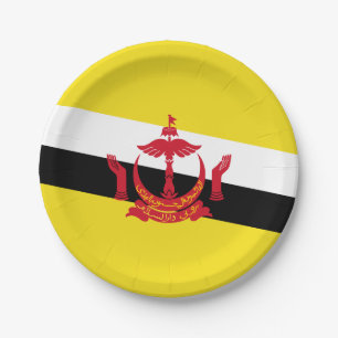 Patriotische Papierplatten mit Bruneis Flagge Pappteller