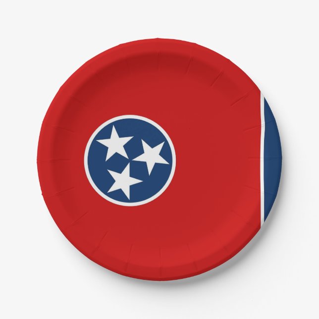 Patriotische Papiertüte mit Tennessee-Flagge Pappteller (Vorderseite)