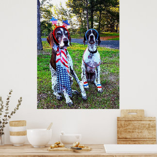 Patriotische Party-Feier-Hotdogs Poster