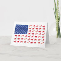 Patriotische Pferde Amerikanische Flagge