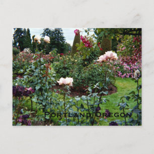 Patriotische Rose Garden Postkarte