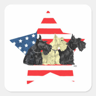 Patriotische Scottish Terriers auf Stern Quadratischer Aufkleber