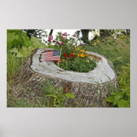 Patriotische Stump