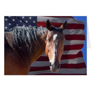 Patriotischer amerikanischer Quarterhorse u.