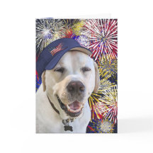 Patriotischer Geburtstagshund und Feuerwerk