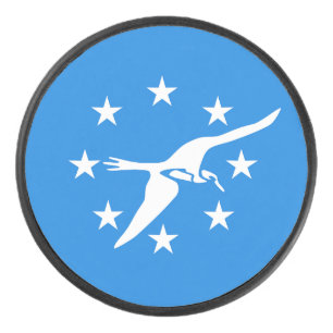 Patriotischer Hockey-Puck mit Fahne von Corpus Chr Eishockey Puck